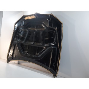 BMW 5 G30 / G31 kapota - 41007440427 - 13289 | mobilpol.sk