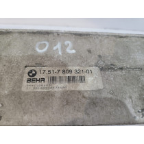 BMW X5 E70 / F15 Intercooler 7809321 - 13746