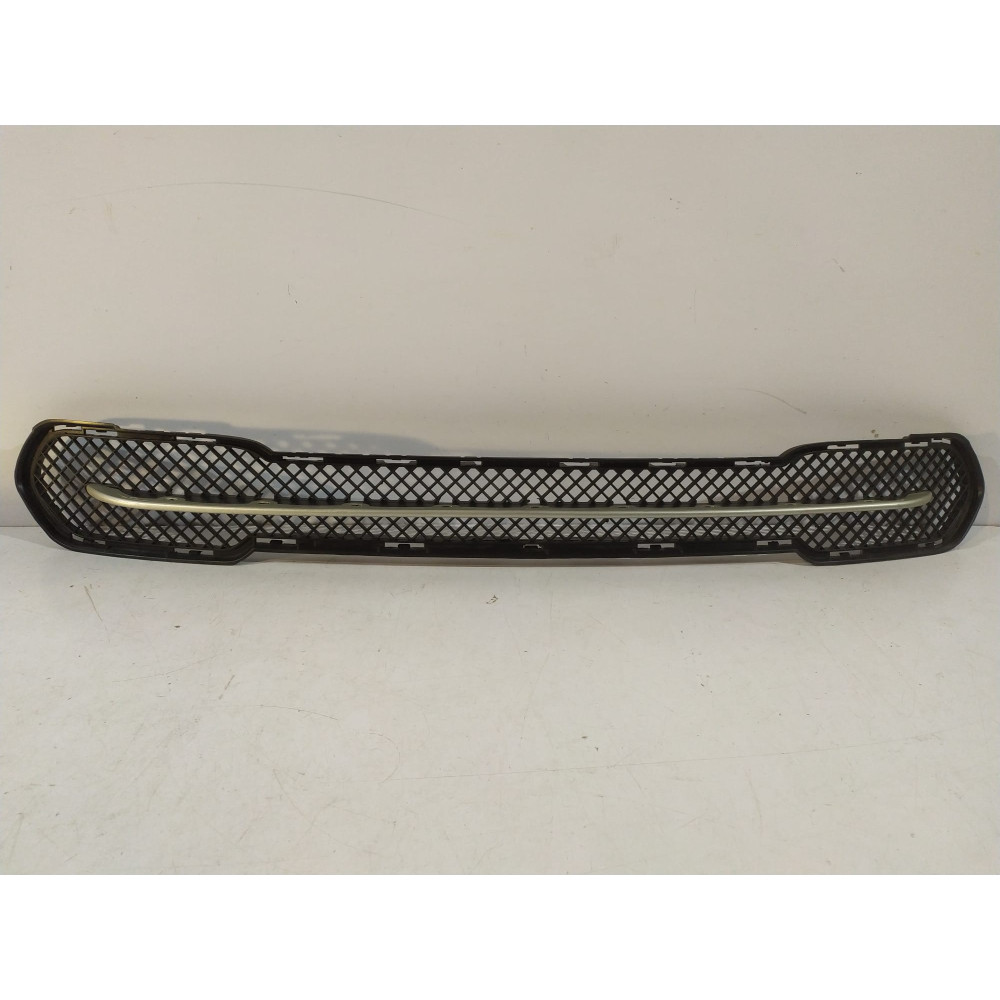 BMW X1 E84 X-Line mriežka stredná - 14196