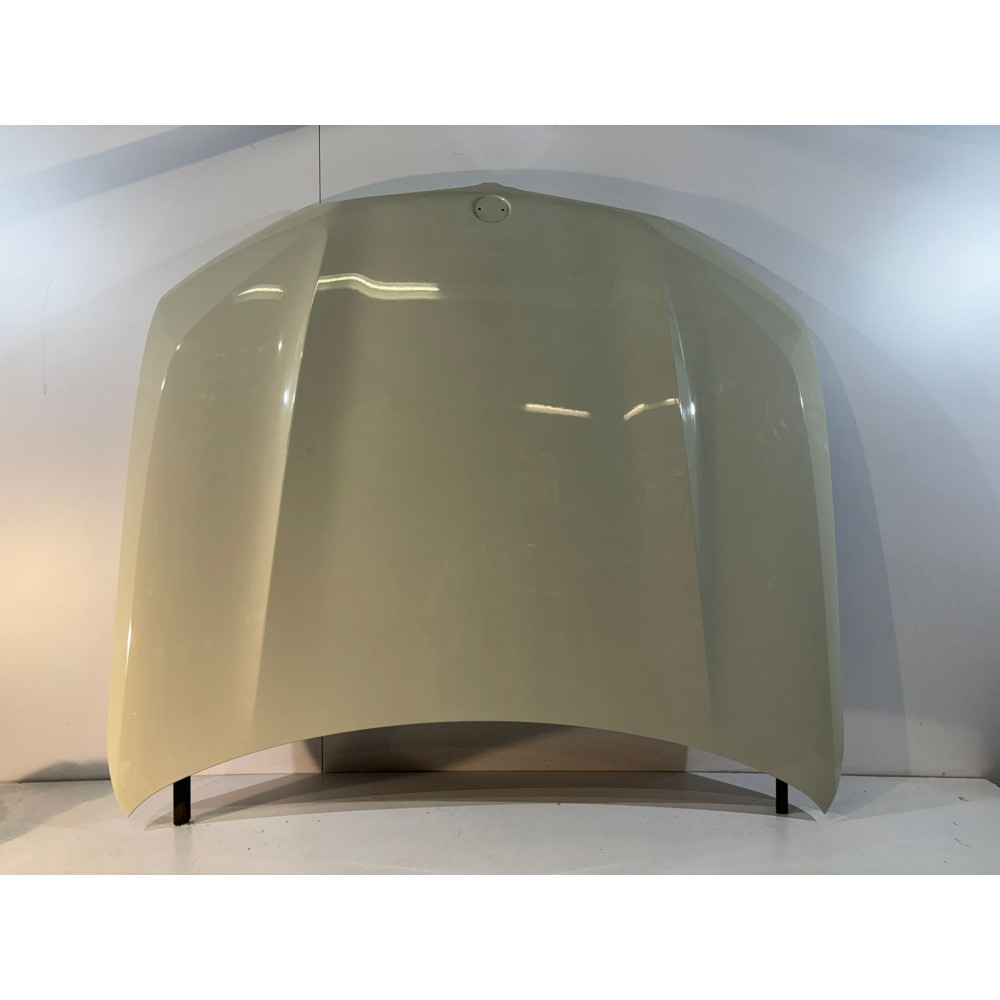 BMW X5 G05 / X6 G06 Maska / Kryt Motora - 14879