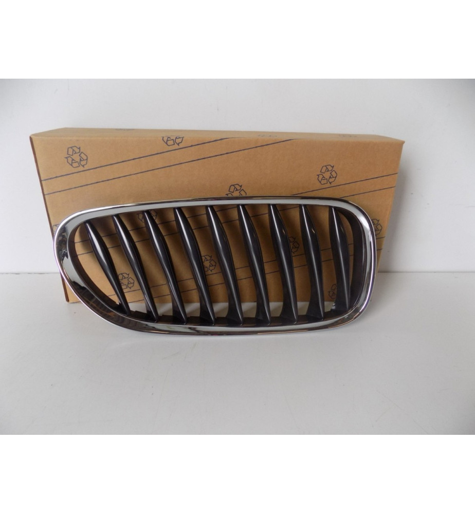 BMW Z4 E85/E86 Mriežka/Oblička Pravá - 3866