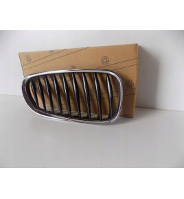 BMW Z4 E85/E86 Mriežka/Oblička Pravá - 3866