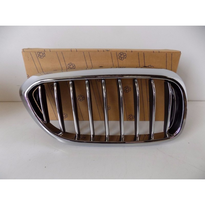 BMW 5 G30/G31 Nerka / Grill Nárazníka R - 3833 | mobilpol.sk