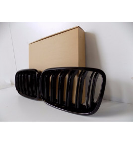 BMW X5 E70, BMW X6 E71 Gril / Nerka - 4119