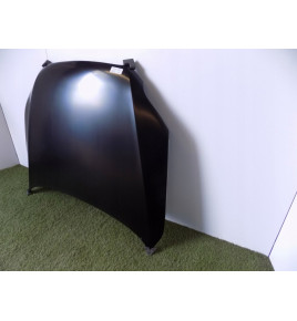 Audi Q7 4L0 Kapota / Kryt motora - 3016