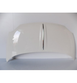 Fiat 500 - Maská / Kryt...