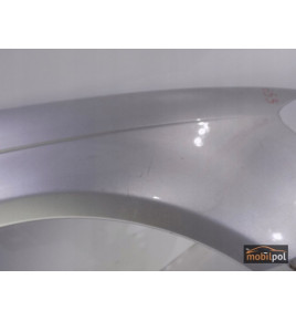 Audi A3 8P0 Pravý blatník (Strieborný) - 0653