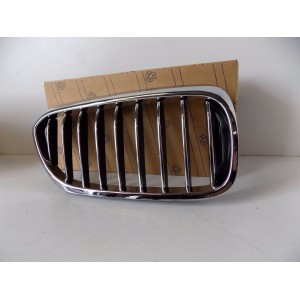 BMW 5 G30/G31 Nerka / Grill Nárazníka R - 3833 | mobilpol.sk