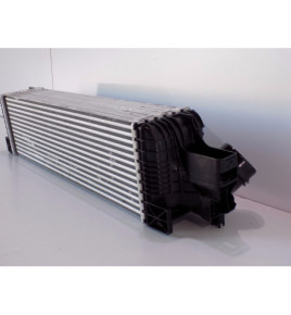 BMW X1/2 F48/39 Chladič vzduchu - 6070